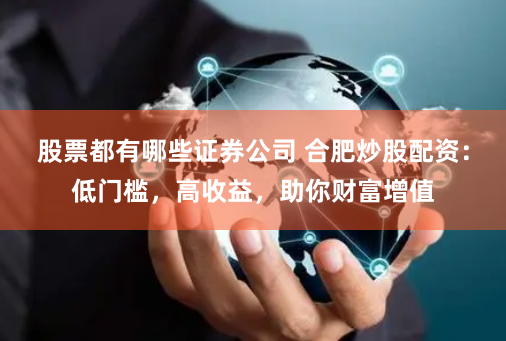 股票都有哪些证券公司 合肥炒股配资：低门槛，高收益，助你财富增值