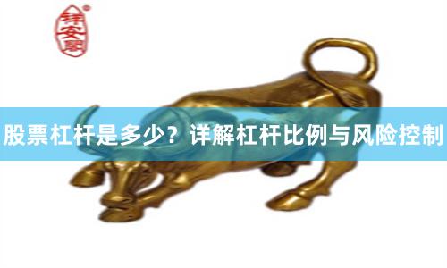 股票杠杆是多少？详解杠杆比例与风险控制
