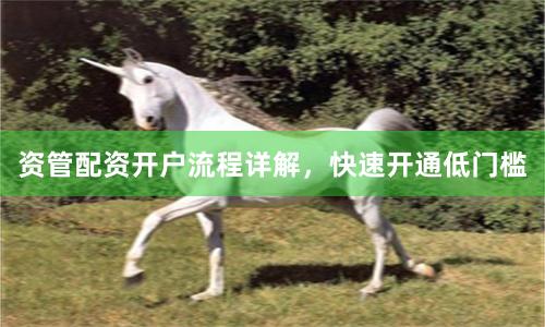 资管配资开户流程详解，快速开通低门槛
